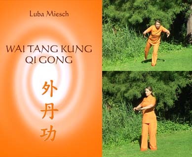 Wai Tang Kung Qi Gong Video
