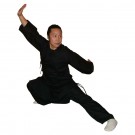 Shaolin Kung Fu Anzug